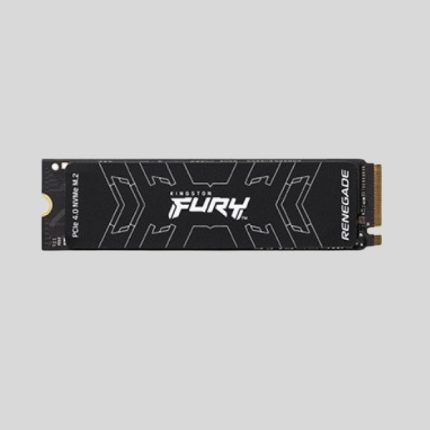 Kingston FURY Renegade 1TB PCIe 4.0 NVMe M.2 Internal SSD WITH DRAM