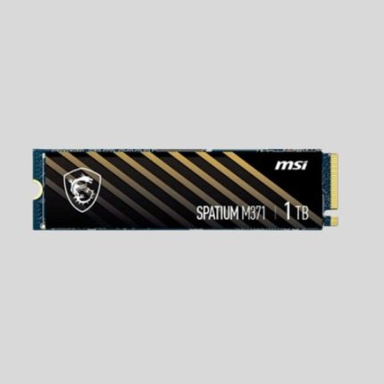 MSI SPATIUM M371 1TB NVME M.2 SSD