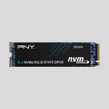 PNY CS1031 256GB M.2 NVMe Internal SSD