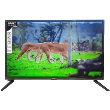 Smart SEL-32B24K 32" HD Basic LED TV